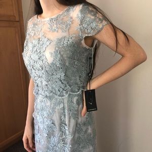 $199 ADRIANNA PAPELL New Silver Blue Lace Gown 4